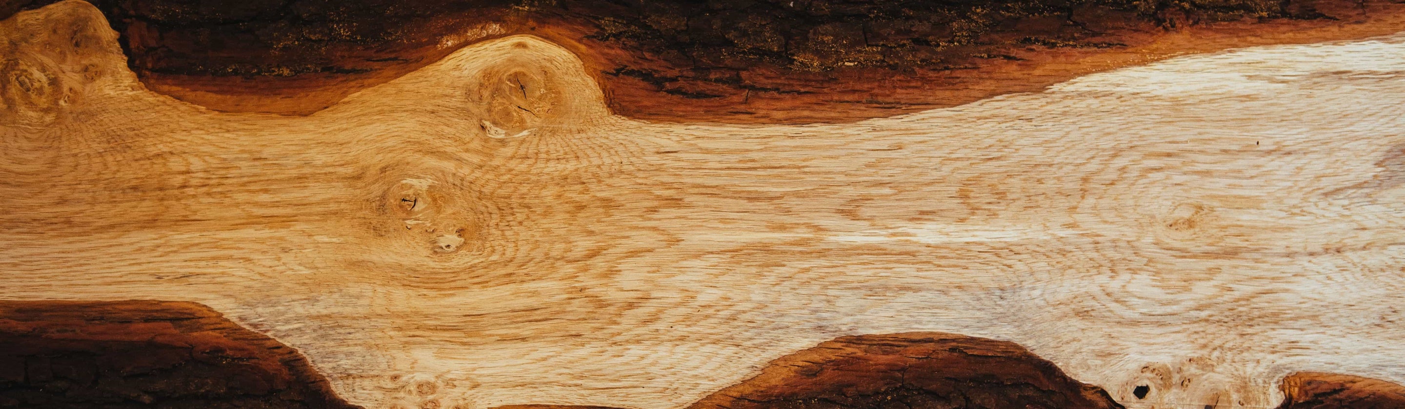 Bannière
